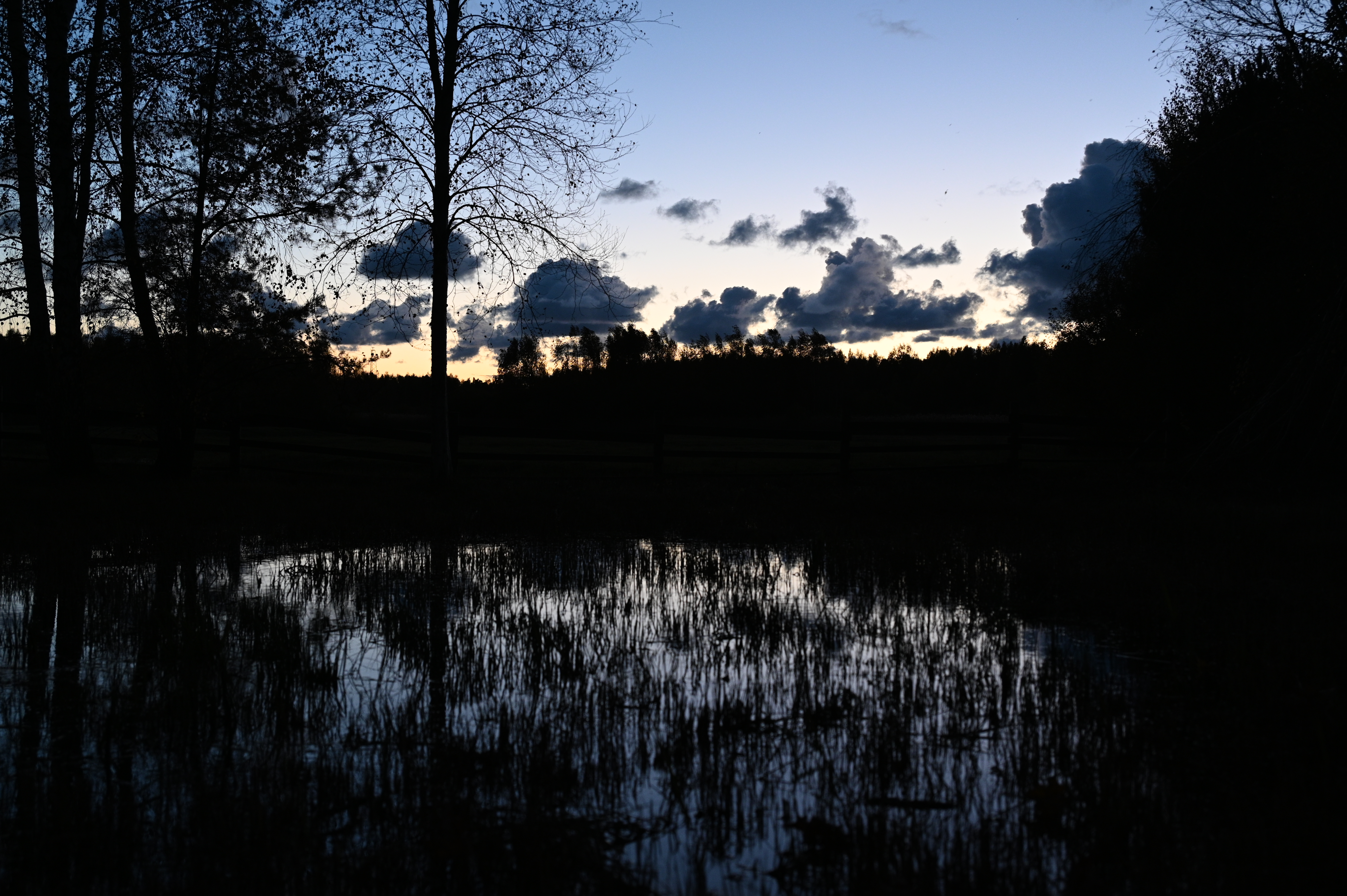 2025/10/18 - walk/DSC_0656.JPG